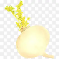 Âܲ· ¸ùÀàÊß²Ë Êß²Ë-¿ÕÈôÍø Âܲ· ¸ùÀàÊß²Ë Êß²Ë-¿ÕÈôÍø