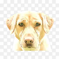 �� ���� ����������Ȯ-������