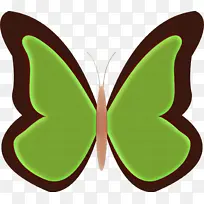 绿色 蝴蝶 昆虫-空若网 绿色 蝴蝶 昆虫-空若网