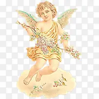 天使 丘比特 翅膀-空若网 天使 丘比特 翅膀-空若网