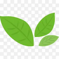 叶子 绿色 植物-空若网 叶子 绿色 植物-空若网