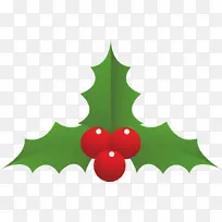 冬青 叶子 树-空若网 冬青 叶子 树-空若网