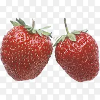 �ɹ���Ʒ��ȻʳƷ ��ݮ ˮ��-������