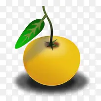 ˮ�� ��ɫ Ҷ��-������