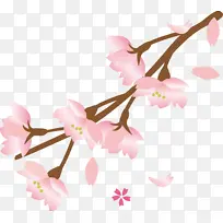 樱花 花朵 树枝-空若网 樱花 花朵 树枝-空若网