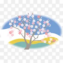 樱花 花 植物-空若网 樱花 花 植物-空若网