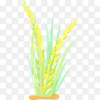 ��ɫ �� ֲ��-������