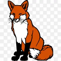 尾巴 橙色 胡须-空若网 尾巴 橙色 胡须-空若网