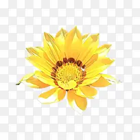 鼻子 野生动物 小鹿-空若网 鼻子 野生动物 小鹿-空若网