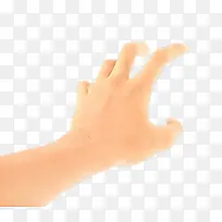 ��ָ �� Ƥ��-������