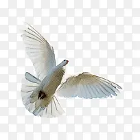 �� ��� ��ë-������