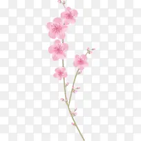 ���� ˮ�� ����-������