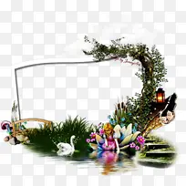 植物 草 树-空若网 植物 草 树-空若网