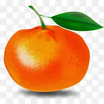 ��ȻʳƷ ���� ˮ��-������