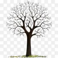 树木 树枝 木本植物-空若网 树木 树枝 木本植物-空若网