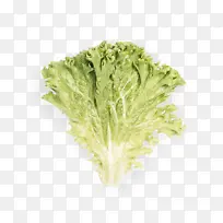 Ҷ�� ���� �߲�-������