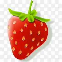 ��ݮ ˮ�� ֲ��-������