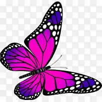 ���� �ɶ�ͺ��� ����-������