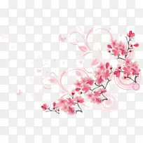 粉色 花朵 樱花-空若网 粉色 花朵 樱花-空若网