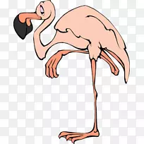 火烈鸟博客剪贴画-火烈鸟-空若网 火烈鸟博客剪贴画-火烈鸟-空若网