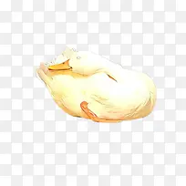 ��ɫ ��ɫ ����-������