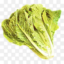 叶菜 蔬菜 生菜-空若网 叶菜 蔬菜 生菜-空若网