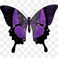 ·É¶êºÍºûµû ºûµû À¥³æ-¿ÕÈôÍø ·É¶êºÍºûµû ºûµû À¥³æ-¿ÕÈôÍø