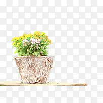 ��ɫ ��ɫ ˮƿ-������