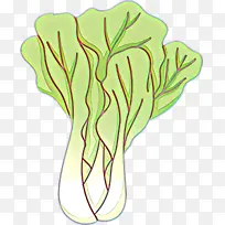 Ҷ�� �߲� ֲ��-������