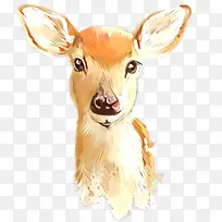 ¹ ���� ����-������