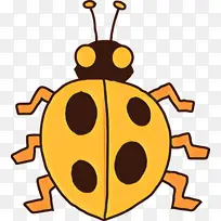 黄色 昆虫-空若网 黄色 昆虫-空若网