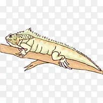 爬行动物 动物形象 下颌-空若网 爬行动物 动物形象 下颌-空若网