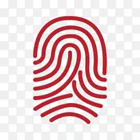 ��ɫ ���� ��־-������