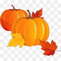 橙色 南瓜 叶子-空若网 橙色 南瓜 叶子-空若网