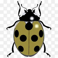 ���� �׳� Ҷ�׳�-������