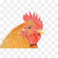 橙色 礼物-空若网 橙色 礼物-空若网