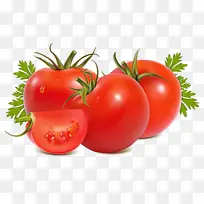 天然食品 番茄 茄-空若网 天然食品 番茄 茄-空若网