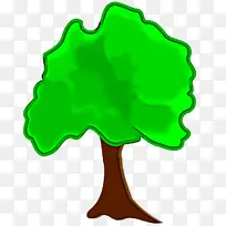 ÂÌÉ« Ò¶×Ó Ê÷-¿ÕÈôÍø ÂÌÉ« Ò¶×Ó Ê÷-¿ÕÈôÍø