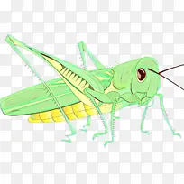 ���� ���� ä����-������