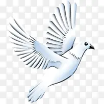 �� � ���-������