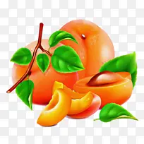 ��ȻʳƷ ʳƷ ˮ��-������