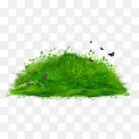 绿色 植被 草-空若网 绿色 植被 草-空若网