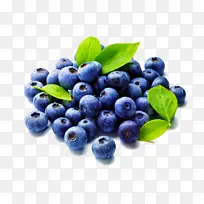 浆果 越橘 蓝色-空若网 浆果 越橘 蓝色-空若网