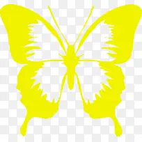 ��ɫ ���� �Գ�-������