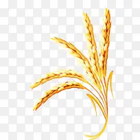 ²Ý¿Æ Ö²Îï Á¸Ê³-¿ÕÈôÍø ²Ý¿Æ Ö²Îï Á¸Ê³-¿ÕÈôÍø