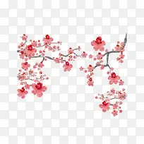 �� ӣ�� ��ɫ-������