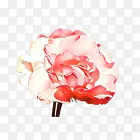 体育团体 服装 动画-空若网 体育团体 服装 动画-空若网