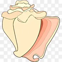 ���� ��ͨ ����-������