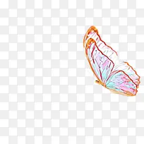 橙色 叶子 羽毛-空若网 橙色 叶子 羽毛-空若网