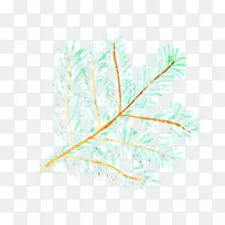 Óðë Ò¶×Ó ²Ý-¿ÕÈôÍø Óðë Ò¶×Ó ²Ý-¿ÕÈôÍø